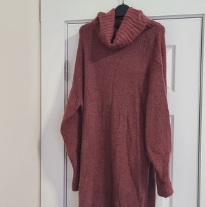 Express sweater dress